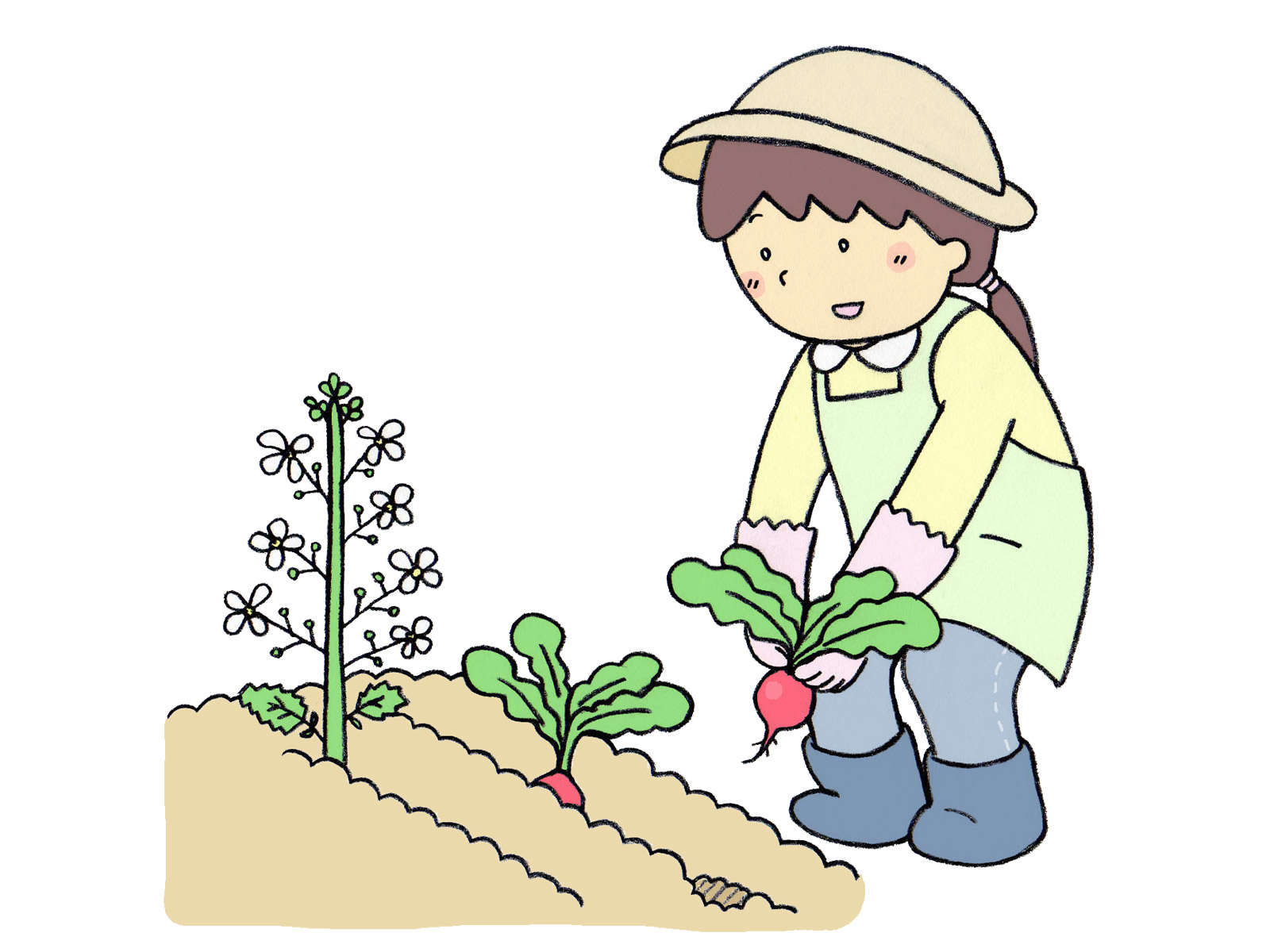 農作業をする女性